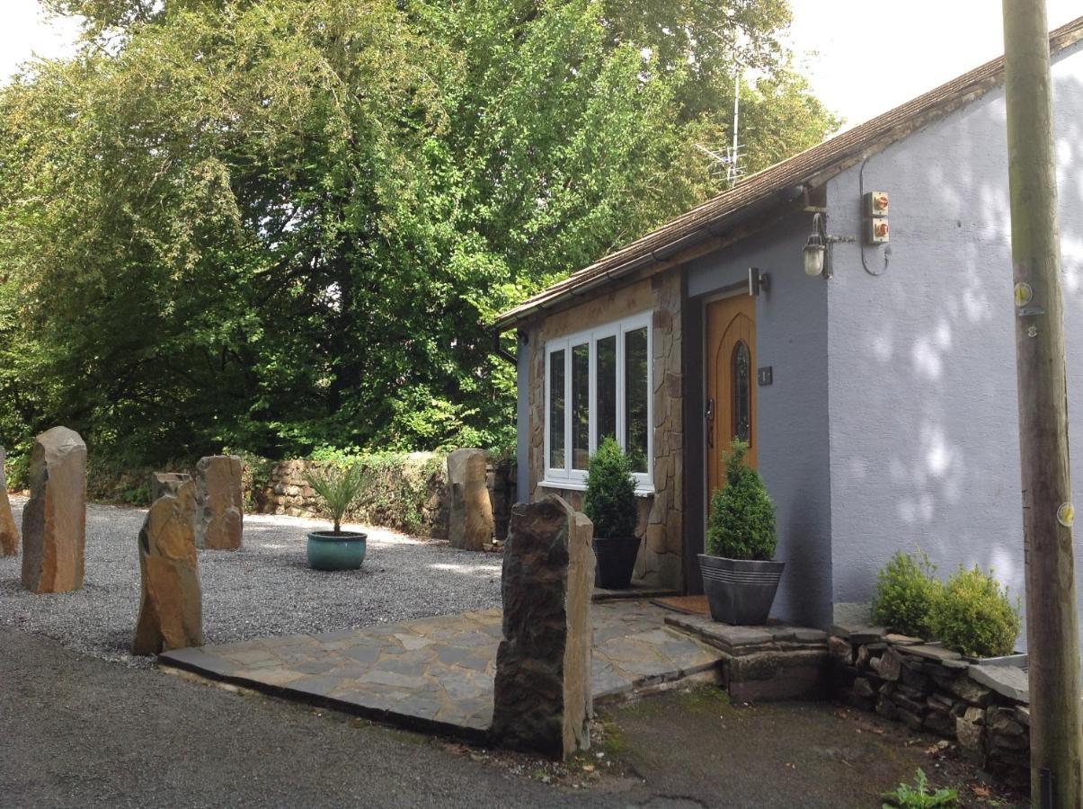 アンマンフォード The Mill At Glynhir Bed & Breakfast エクステリア 写真