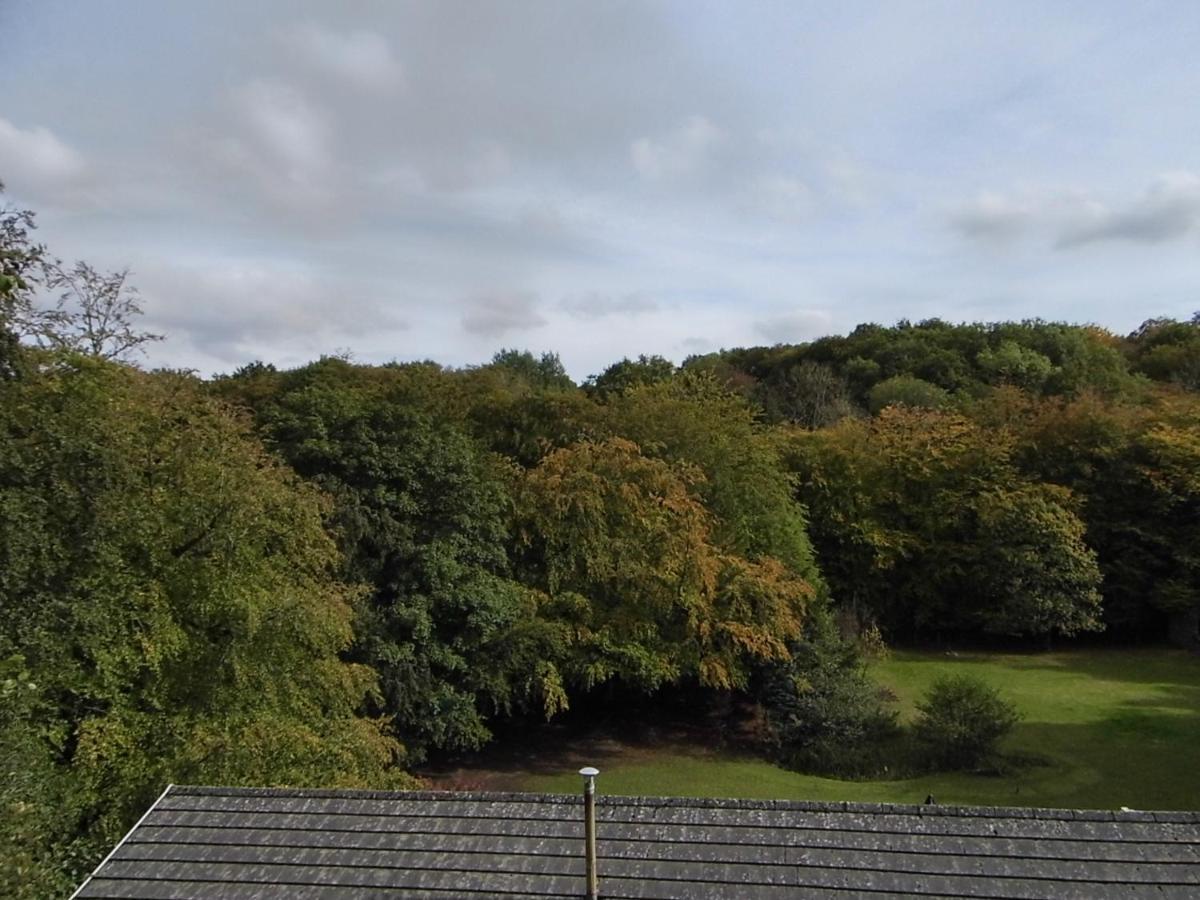 アンマンフォード The Mill At Glynhir Bed & Breakfast エクステリア 写真