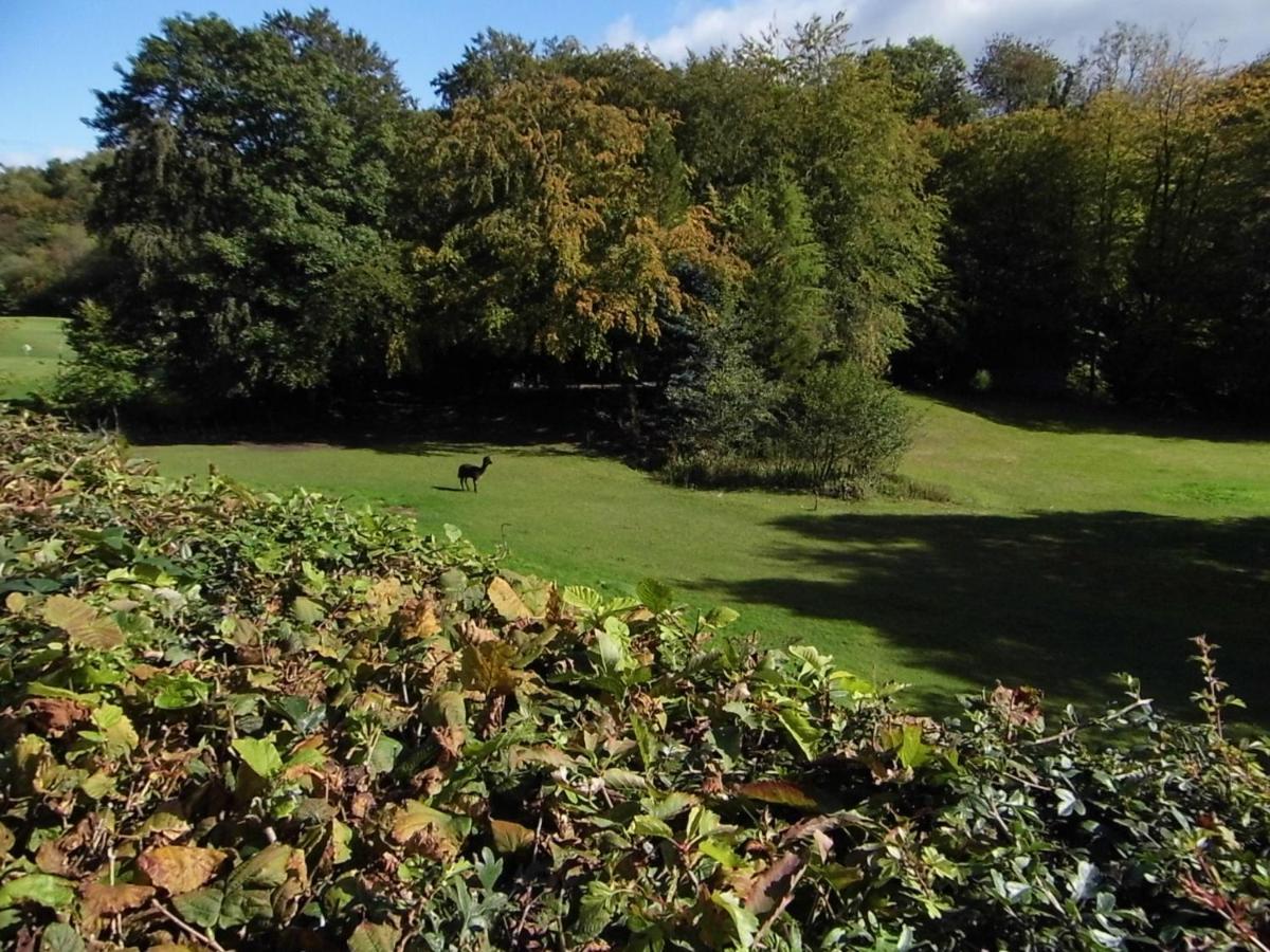 アンマンフォード The Mill At Glynhir Bed & Breakfast エクステリア 写真